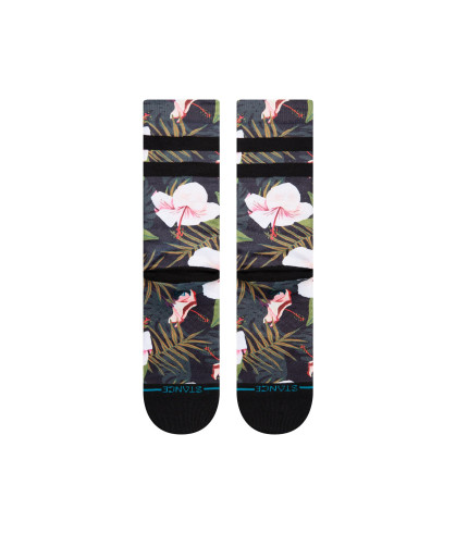 STANCE-Laulima 2
