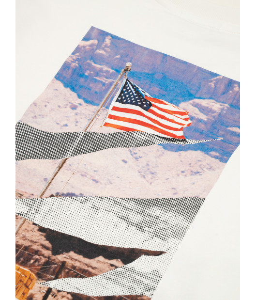 CAT-Stars And Stripes Crewneck