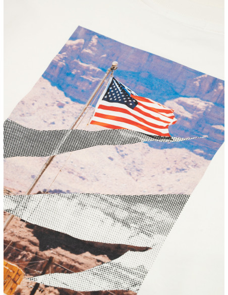 CAT-Stars And Stripes Crewneck