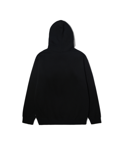 HUF-Especial P/O Hoodie 2
