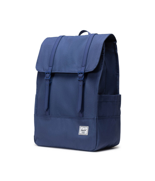 HERSCHEL-Survey™