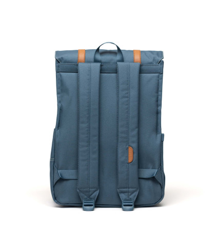HERSCHEL-Survey™ 2