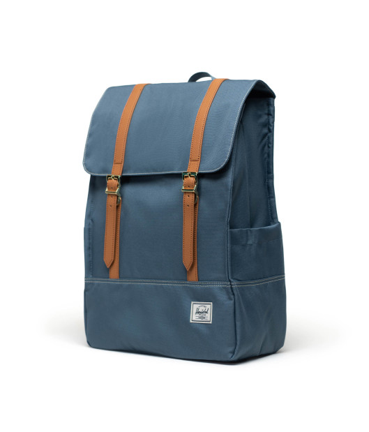 HERSCHEL-Survey™