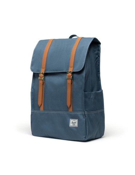 HERSCHEL-Survey™
