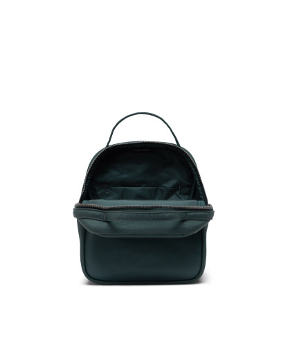 HERSCHEL-Orion Mini 2