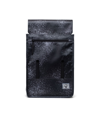 HERSCHEL-Survey™ 2