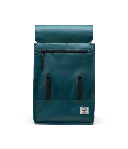 HERSCHEL-Survey™