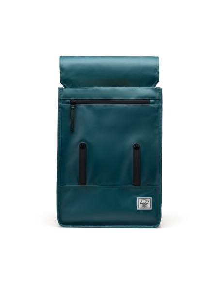 HERSCHEL-Survey™