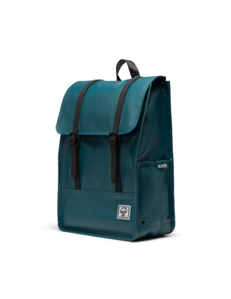 HERSCHEL-Survey™