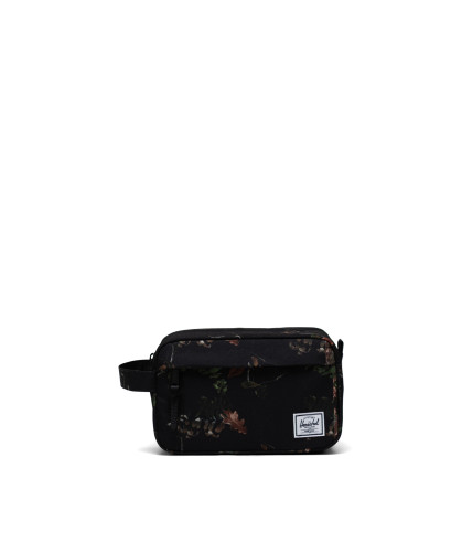 HERSCHEL-Chapter