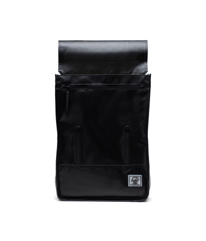 HERSCHEL-Survey™ 2