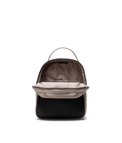 HERSCHEL-Orion Mini 2