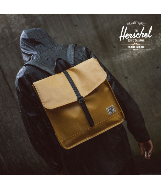 HERSCHEL-City
