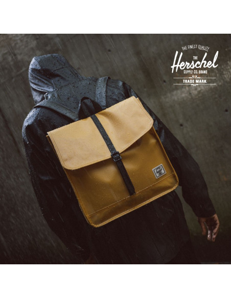 HERSCHEL-City