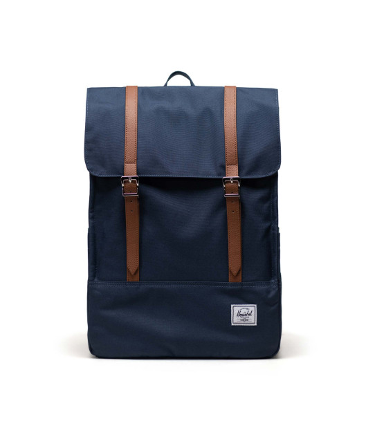 HERSCHEL- Survey™