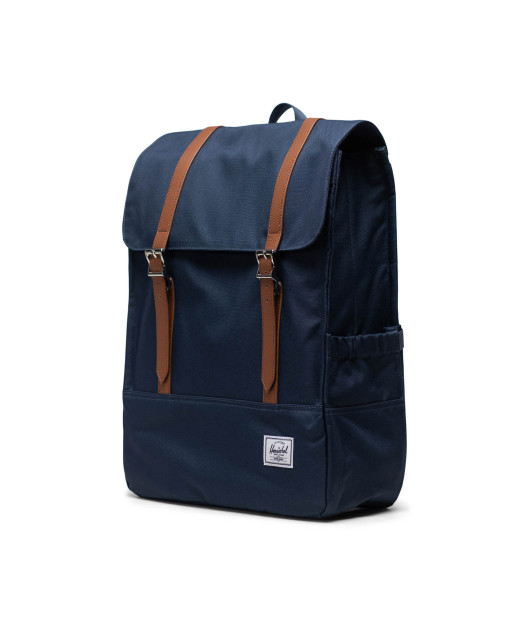 HERSCHEL- Survey™