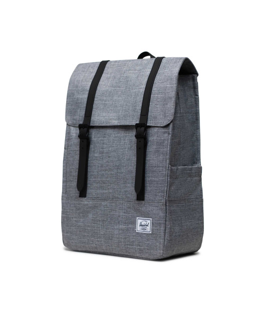 HERSCHEL-Survey™