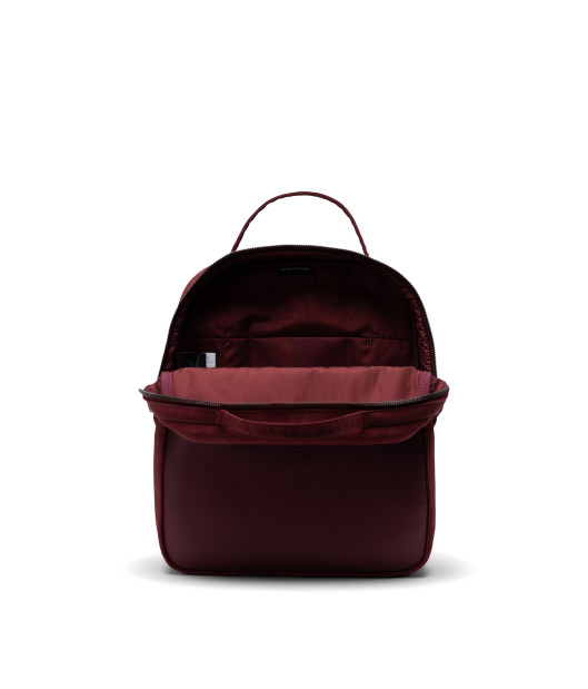 HERSCHEL-Orion Small