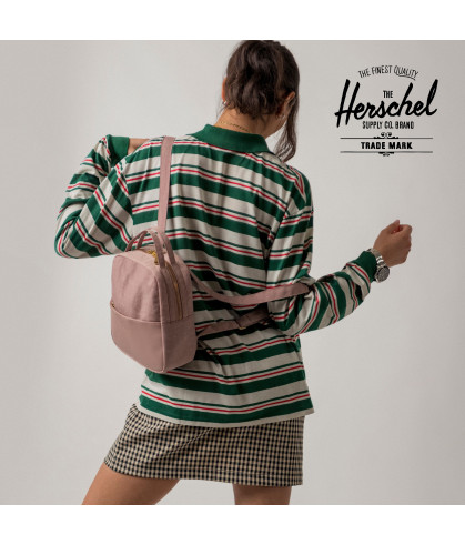 HERSCHEL-Orion Mini 2