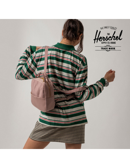 HERSCHEL-Orion Mini