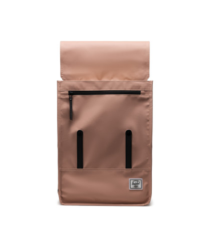 HERSCHEL-Survey™ 2